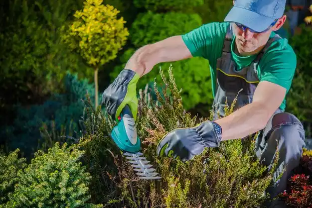 landscaping services DeWitt